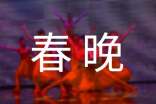 春晚节目观后感范文