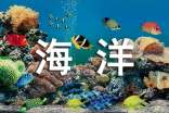 海洋馆参观日记