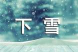 【精选】下雪的日记模板合集八篇