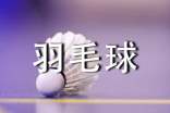 【必备】打羽毛球的日记三篇