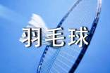 打羽毛球的日记合集5篇