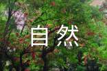自然之道说明文(通用20篇)